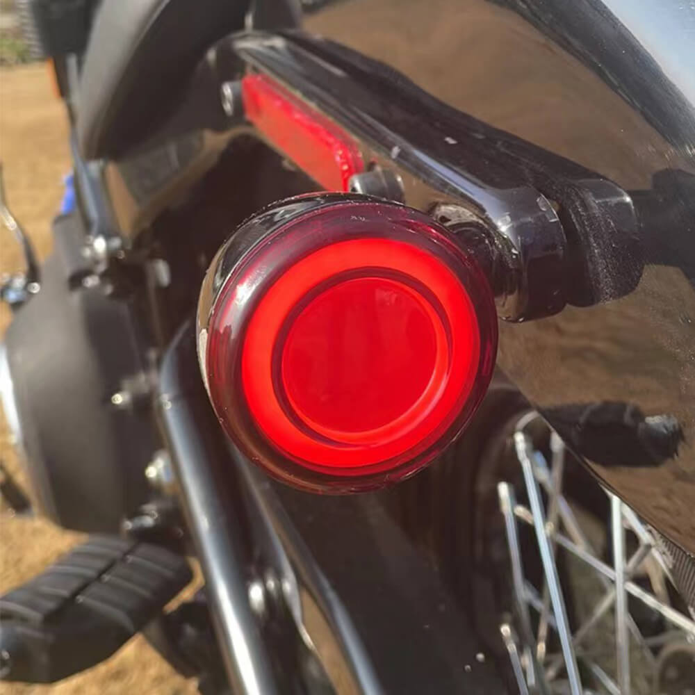 1157-double-contacts-Turn-Signals-effect-la018302