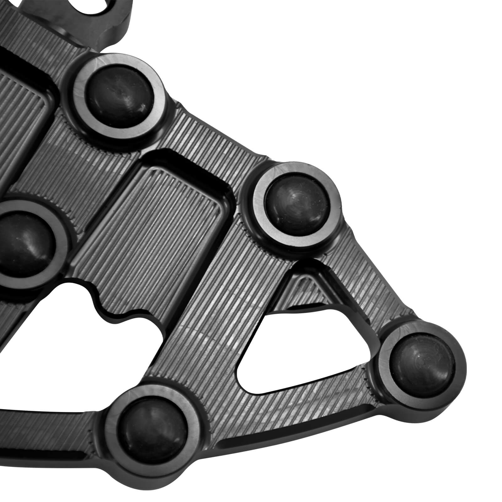 rider-passenger-floorboards-PE013903