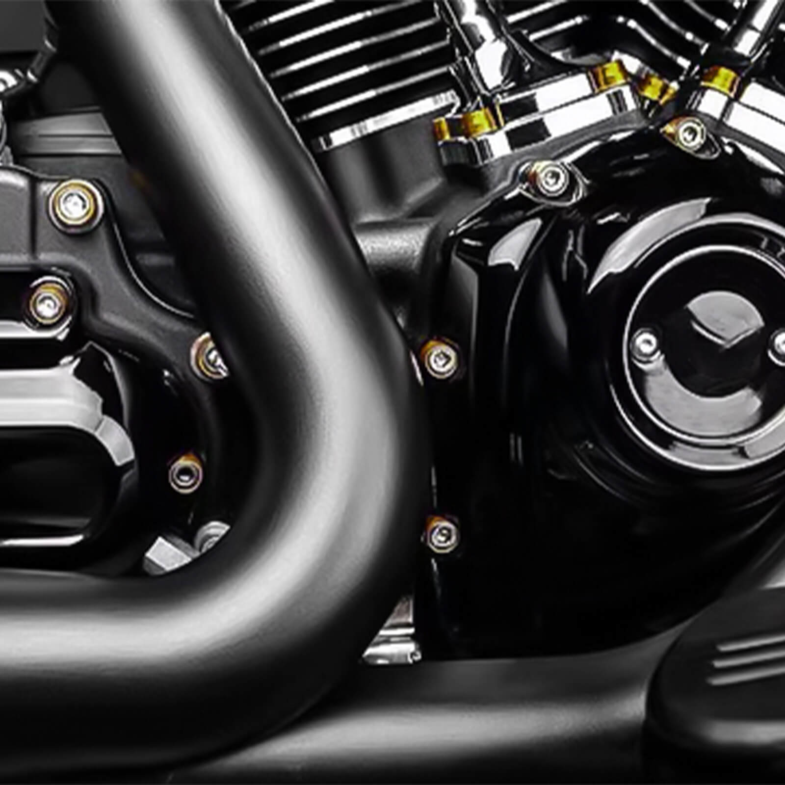 FR006103 mactions Engine Toppers Premium Engine Fastener & Dress-Up Kit for Harley touring  - gold