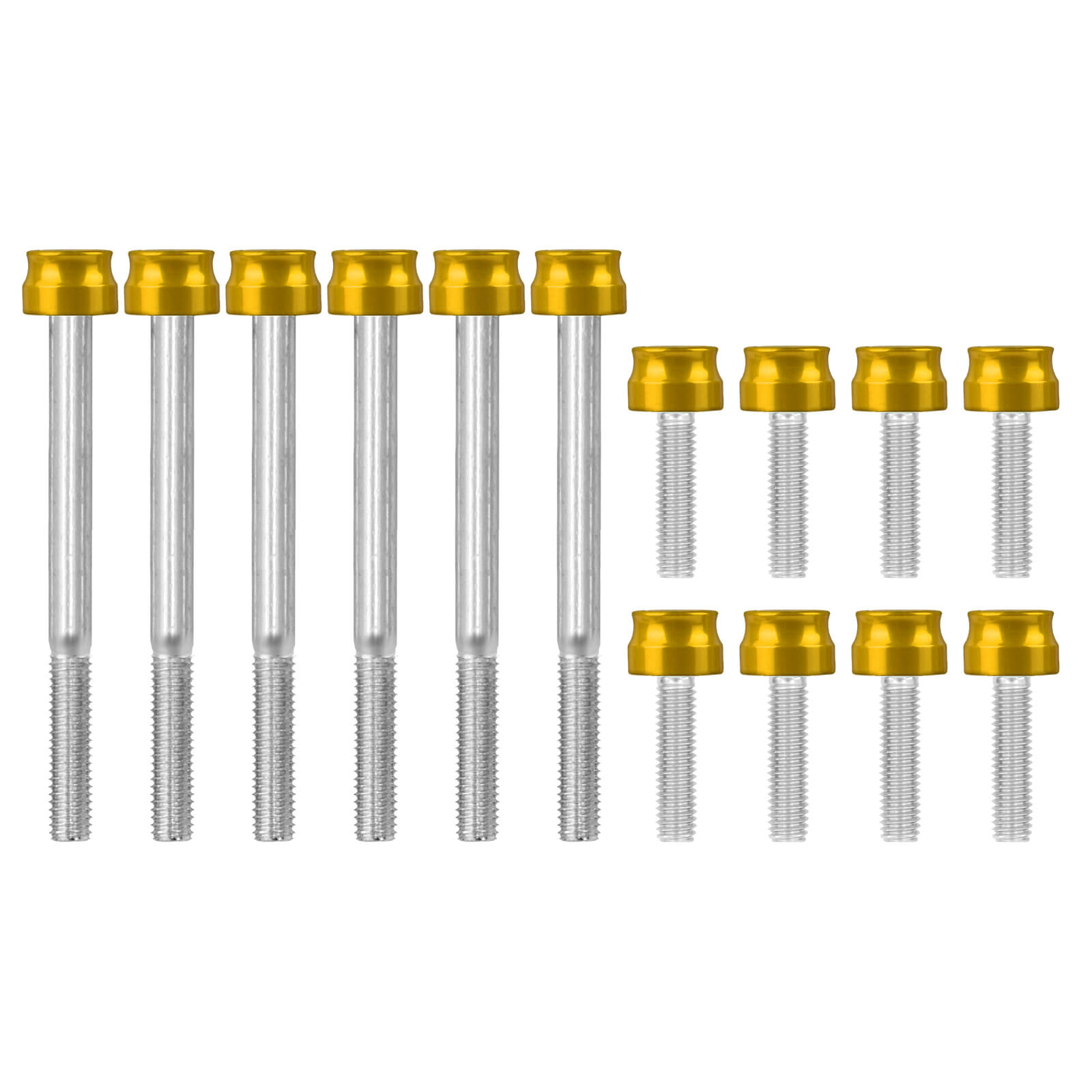 FR007904_Mactions_Custom Aluminum Engine Bolts Fasteners Kit For Harley Softail & Touring Gold