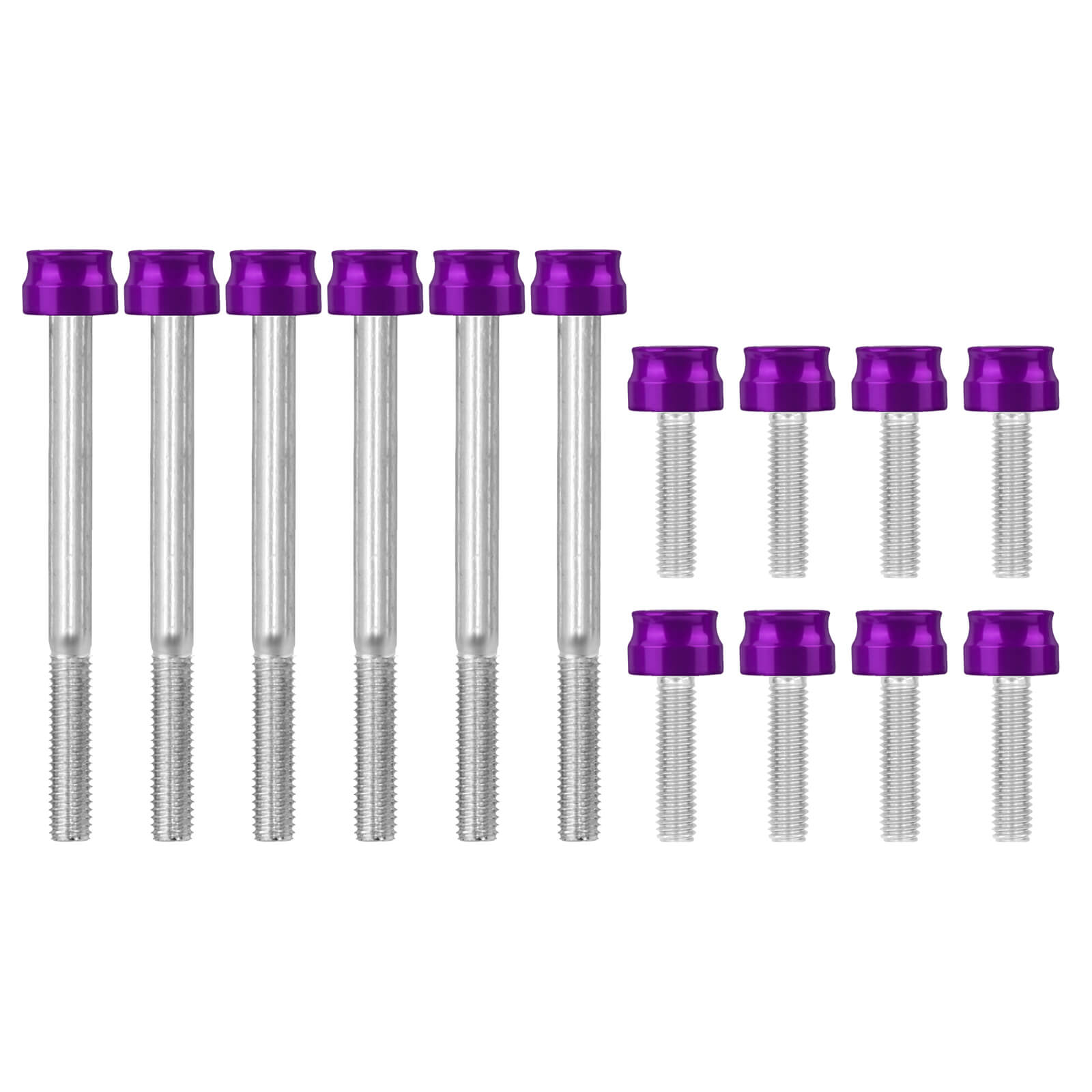 FR007906_Mactions_Custom Aluminum Engine Bolts Fasteners Kit For Harley Softail & Touring Purple